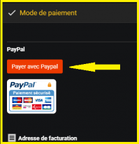 Paypal 01